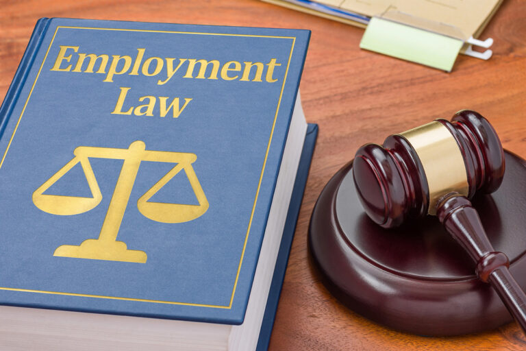 Employment Law graphic as a header for our article on employment law changes for 2025 in California.